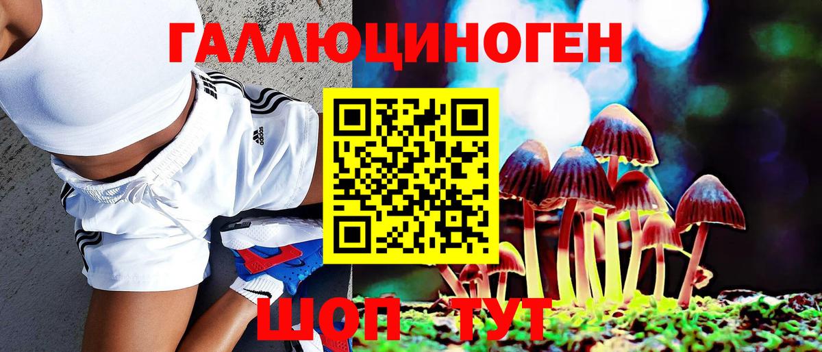 Наро-Фоминск  Галлюциногенные грибы Psilocybine cubensis  Вход с VPN 